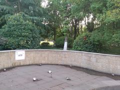 -玉山公园