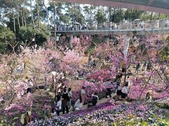 -狐尾山公园
