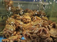 -蟹之国·精品蟹料理(极地店)