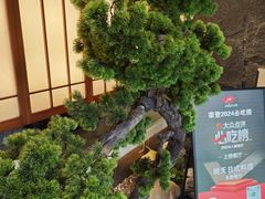 -桃夭日式料理(国信店)