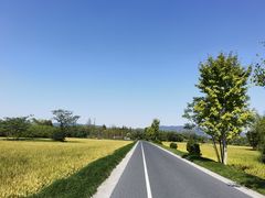 -良渚古城遗址公园