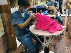 -安安宠医宠物医院·异宠·犬猫内科(岳阳分院)
