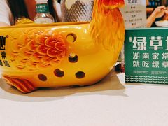 -绿草地·湘菜(芙蓉天街店)