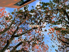 -花马天堂云南餐厅 Lost Heaven(高邮路店)