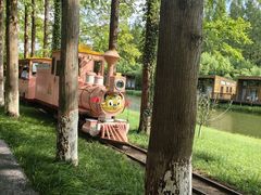 -黄海国家森林公园