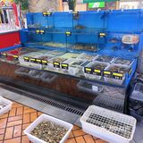 在大连开了20多年了，羊肉小串绝对和别人家不一样