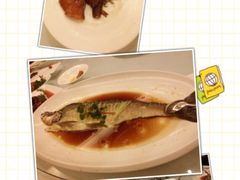 同庆楼(滨湖万达店)-同庆楼(滨湖万达广场店)