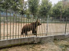 -秦皇岛野生动物园