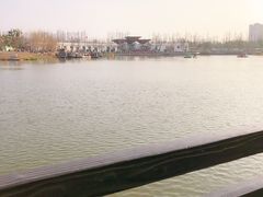 -上海长兴岛郊野公园