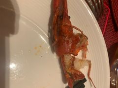 -视界美食自助餐厅·石家庄希尔顿酒店