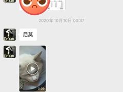 -严国平动物医院(德政总院)