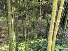 -王家大院
