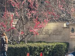 -OCT华侨城·北京