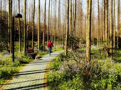 -停车场(临桂路)