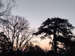 -香山公园