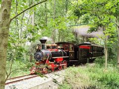 -合肥滨湖国家森林公园