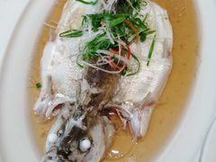 古法白水鱼-老洋房花园饭店(绍兴路店)