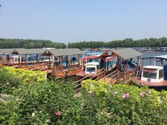 -白洋淀景区