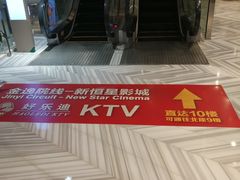 -上海金逸影城(静安大悦城店（原新恒星影城）)