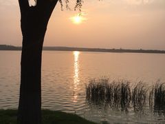 -丁香湖公园