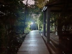 -小南山公园