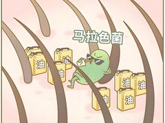 -中国农业大学(西校区)