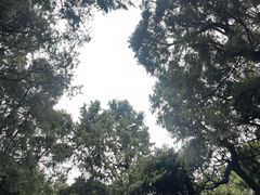 -七曲山风景区