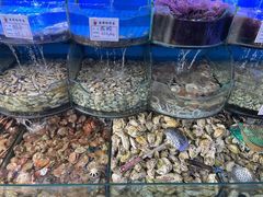 -鼓歌海鲜舫·手抓海鲜(大学城店)
