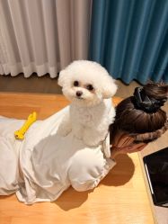 -INLIFE HAIR韩国美发