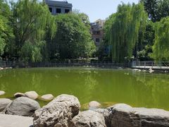 -莲湖公园