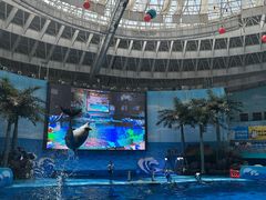 -海合安成都极地海洋公园