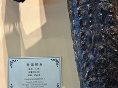 -麒麟中餐厅·经典粤菜·地道菜式老字号(广州长隆酒店)