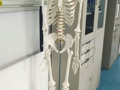 -武汉大学人民医院(首义院区)