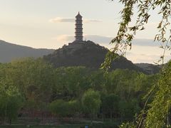 -北坞公园