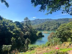 -佛山市三水区大南山森林公园