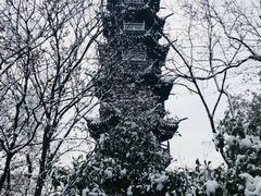 -上海佘山国家森林公园西佘山园