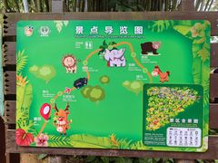 -海南热带野生动植物园