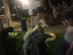 -清迈夜间动物园