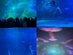 -烟台海昌鲸鲨海洋公园