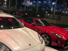 -新加坡瑞士史丹福酒店