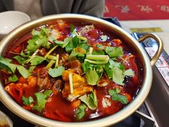 -伊兰麒兰馨园·川菜·清真馆(339电视塔店)