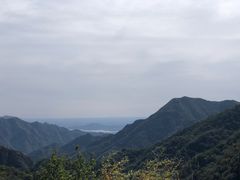 -大岭沟猕猴桃谷风景区