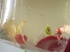 -中环花鸟鱼虫市场