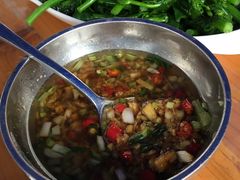 -遇龙河大樟树农家乐