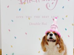 -Double Rui宠物酒店
