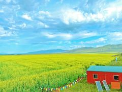 -新疆那拉提国家旅游度假区