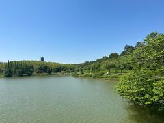 -宜兴龙背山森林公园