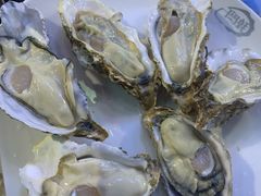 -千岛蚝高压锅生蚝·人参火锅(白云万达店)