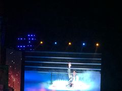 -成都金融城演艺中心