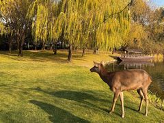 -养云安缦吧THE BAR